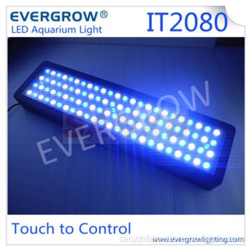 It2080 Marine Aquarium LED Lighting (for saltwater reef tank)